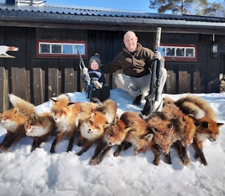 LIDENSKAPELIG REVEJEGER: Prosjektet til Erik Schjødt-Waaler og Torfinn Stenersen på Hjerkinn har tatt ut 84 rødrev de siste årene. – Å ta ut smårovvilt gir veldig god effekt på rypebestanden etter tre til fem år, sier han. Foto: Privat LIDENSKAPELIG REVEJEGER: Prosjektet til Erik Schjødt-Waaler og Torfinn Stenersen på Hjerkinn har tatt ut 84 rødrev de siste årene. – Å ta ut smårovvilt gir veldig god effekt på rypebestanden etter tre til fem år, sier han. Foto: Privat