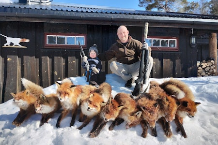 LIDENSKAPELIG REVEJEGER: Prosjektet til Erik Schjødt-Waaler og Torfinn Stenersen på Hjerkinn har tatt ut 84 rødrev de siste årene. – Å ta ut smårovvilt gir veldig god effekt på rypebestanden etter tre til fem år, sier han. Foto: Privat LIDENSKAPELIG REVEJEGER: Prosjektet til Erik Schjødt-Waaler og Torfinn Stenersen på Hjerkinn har tatt ut 84 rødrev de siste årene. – Å ta ut smårovvilt gir veldig god effekt på rypebestanden etter tre til fem år, sier han. Foto: Privat