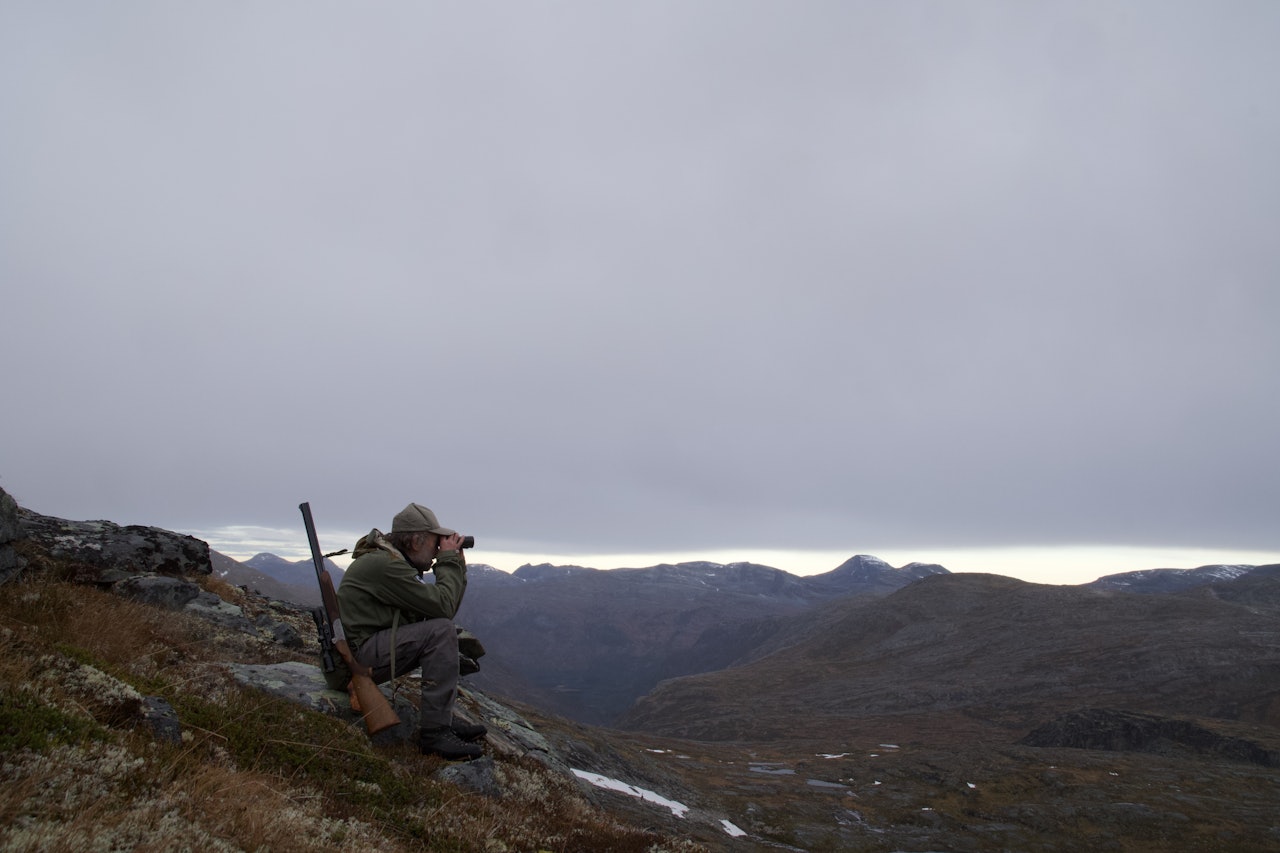 Grå november, rypa er lett å sjå på lange avstander, men nesten umulig å komme på skuddhold rypejakt trollheimen