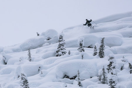 UHYGGELIG: …eller Sinister på godt engelsk er navnet på Stinius Skjøtskift sin promodell fra 4frnt. Her er oppdalingen i gang med testing ved Sentry lodge i Canada. Foto: Peter Wojnar svartkledd kis som kjører ski i pudder