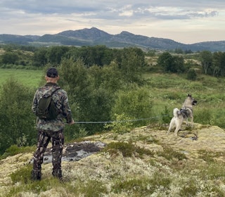 BLODSPOR: Hundene føres i band under NM Blodspor, og arrangeres som en to-dagers prøve i Eliteklasse (EK), med kvalifisering lørdag og finale søndag. Foto: Nord-Trøndelag EHK BLODSPOR: Hundene føres i band under NM Blodspor, og arrangeres som en to-dagers prøve i Eliteklasse (EK), med kvalifisering lørdag og finale søndag. Foto: Nord-Trøndelag EHK