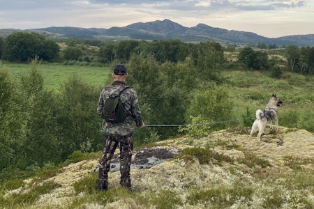 BLODSPOR: Hundene føres i band under NM Blodspor, og arrangeres som en to-dagers prøve i Eliteklasse (EK), med kvalifisering lørdag og finale søndag. Foto: Nord-Trøndelag EHK BLODSPOR: Hundene føres i band under NM Blodspor, og arrangeres som en to-dagers prøve i Eliteklasse (EK), med kvalifisering lørdag og finale søndag. Foto: Nord-Trøndelag EHK