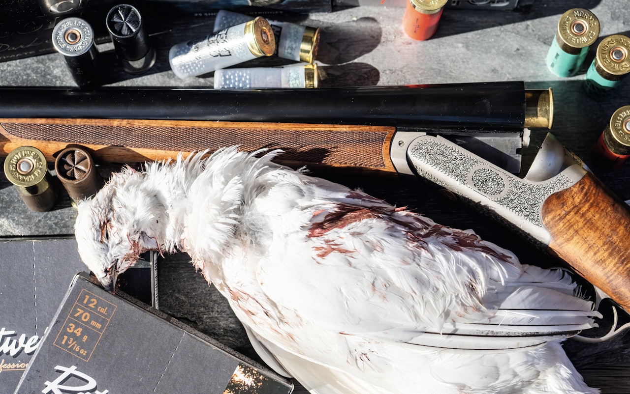 BRUKT: Man kan både spare penger og få mer for surt oppsparte grunker ved å kjøpe brukt hagle. BRUKT: Man kan både spare penger og få mer for surt oppsparte grunker ved å kjøpe brukt hagle.