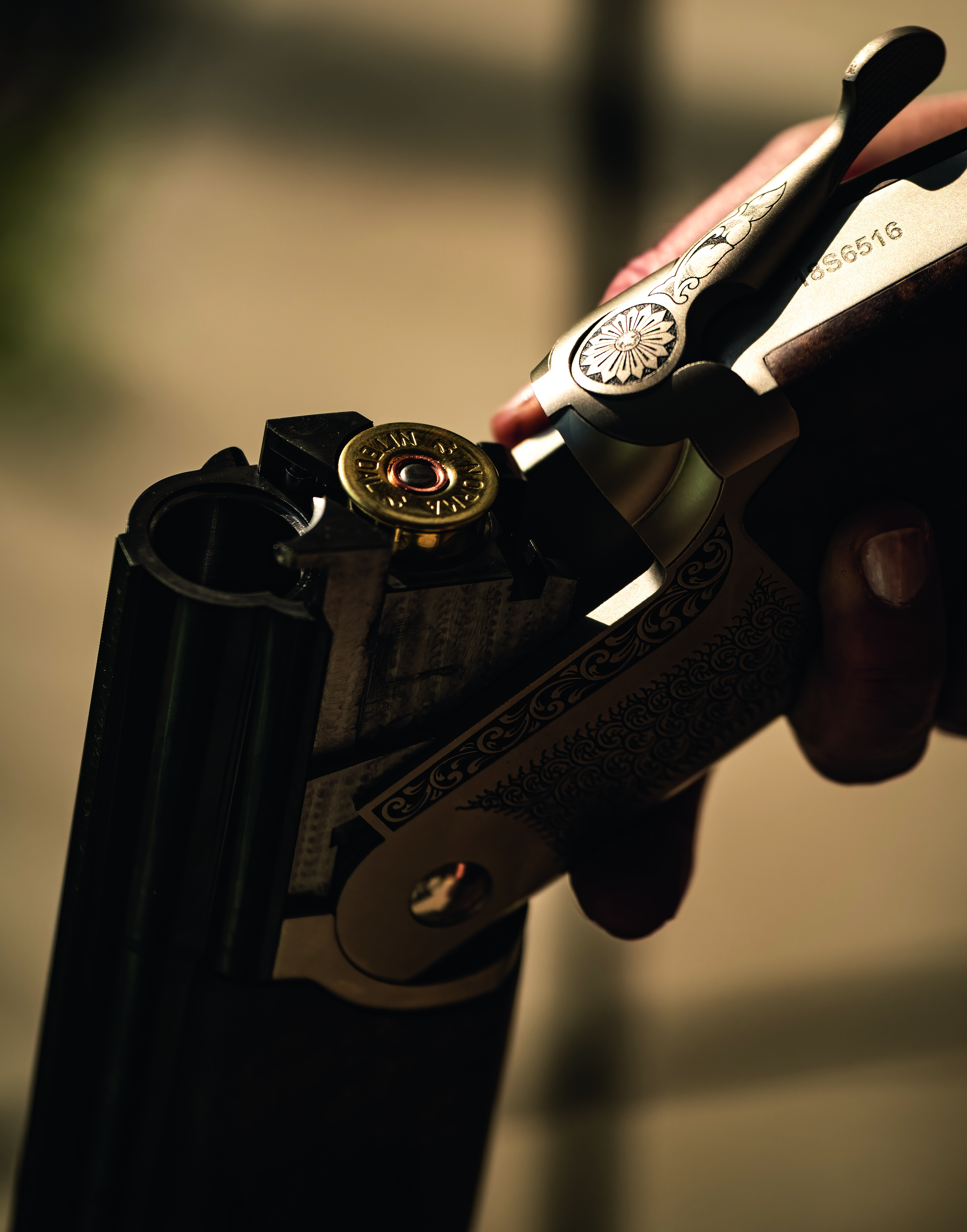 STÅLHAGL: Forsikre deg om at du kan skyte jaktladninger med stålhagl med hagla du vurderer å kjøpe.