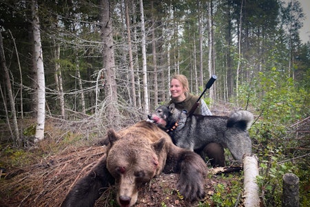 HØY PULS: En jaktopplevelse som krevde sin kvinne. Med ro og mental styrke gikk Mari seirende ut av bjørnemøtet. Foto: Privat mari viken med hund og felt bjørn