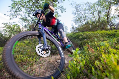 FRITT FRAM: Ikke alle aktiviteter som utløves i tråd med allemannsretten er like populære blant alle - noen steder blir presset på naturen for stort, og noen steder rases det mot terrengsyklister. Arkivfoto: Tore Meirik terrengsykling