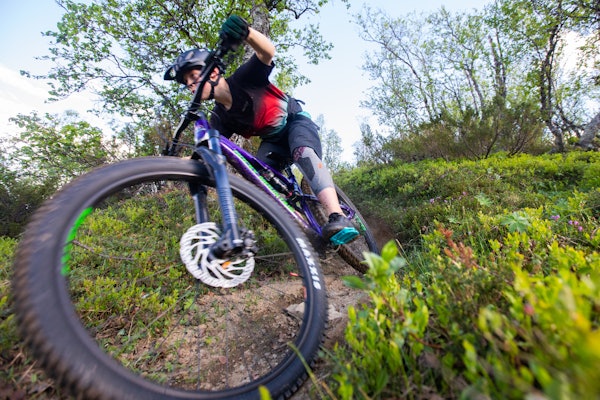 FRITT FRAM: Ikke alle aktiviteter som utløves i tråd med allemannsretten er like populære blant alle - noen steder blir presset på naturen for stort, og noen steder rases det mot terrengsyklister. Arkivfoto: Tore Meirik terrengsykling