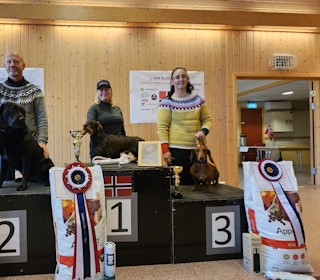PALLEN: Anne Grete Valbekmo sikret NM gullet i Blodspor foran Arnt-Kyrre Johansen og Oceansong´s Calina og Ingrid Martha Gifstda og Kerratunets Snehvit. Foto: Nord-Trøndelag Elghundklubb PALLEN: Anne Grete Valbekmo sikret NM gullet i Blodspor foran Arnt-Kyrre Johansen og Oceansong´s Calina og Ingrid Martha Gifstda og Kerratunets Snehvit. Foto: Nord-Trøndelag Elghundklubb