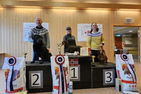 PALLEN: Anne Grete Valbekmo sikret NM gullet i Blodspor foran Arnt-Kyrre Johansen og Oceansong´s Calina og Ingrid Martha Gifstda og Kerratunets Snehvit. Foto: Nord-Trøndelag Elghundklubb PALLEN: Anne Grete Valbekmo sikret NM gullet i Blodspor foran Arnt-Kyrre Johansen og Oceansong´s Calina og Ingrid Martha Gifstda og Kerratunets Snehvit. Foto: Nord-Trøndelag Elghundklubb