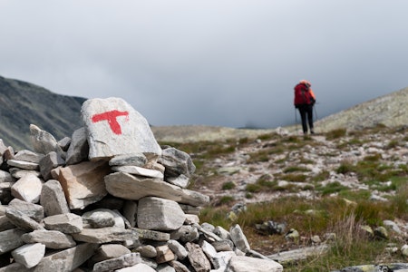 STENGER STIER: Drastiske tiltak i Dovrefjell og Rondane for å gjøre livet lettere for villreinen. Foto: iStock STENGER STIER: Drastiske tiltak i Dovrefjell og Rondane for å gjøre livet lettere for villreinen. Foto: iStock