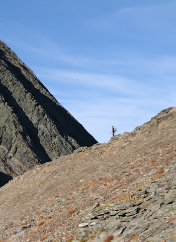 NAKENT: På de høyeste toppene og i de mest ulente steinurene. Fjellrypa trekker oss tett mot det ville landskapet. Foto: Kjell-Harald Myrseth NAKENT: På de høyeste toppene og i de mest ulente steinurene. Fjellrypa trekker oss tett mot det ville landskapet. Foto: Kjell-Harald Myrseth