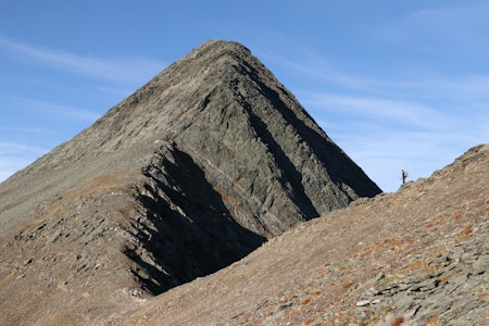 NAKENT: På de høyeste toppene og i de mest ulente steinurene. Fjellrypa trekker oss tett mot det ville landskapet. Foto: Kjell-Harald Myrseth NAKENT: På de høyeste toppene og i de mest ulente steinurene. Fjellrypa trekker oss tett mot det ville landskapet. Foto: Kjell-Harald Myrseth