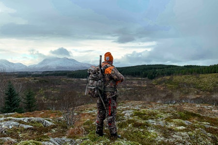 RÅDYRELDORADO: Christer Øveraas ser etter rådyr i drevet. I bakgrunnen ser vi Trollvasstinden, Vegas høyeste fjell. RÅDYRELDORADO: Christer Øveraas ser etter rådyr i drevet. I bakgrunnen ser vi Trollvasstinden, Vegas høyeste fjell.