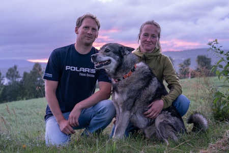 GODT LAG: Ole Ivar og Kristine har fått fram en sjelden lydig og allsidig jakthund i jämthunden Pjolter. I tillegg har han et veldig godt gemytt, både ovenfor folk og andre hunder, og ikke minst en veldig god familiehund. Foto: Christer Rognerud pjolter jakthund familie