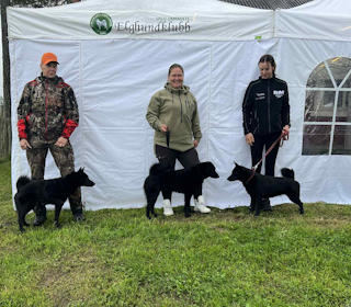BANDHUNDPALLEN: Tre svarthunder stakk av med de første plassene. I tillegg til vinner Heidi Camilla Haukås og hennes Ask var det hunder ledet av Theres Sälder og Mari Romundstad på de to andre pallplassene. Foto: Ole Anders Stenby BANDHUNDPALLEN: Tre svarthunder stakk av med de første plassene. I tillegg til vinner Heidi Camilla Haukås og hennes Ask var det hunder ledet av Theres Sälder og Mari Romundstad på de to andre pallplassene. Foto: Ole Anders Stenby