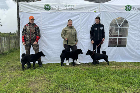 BANDHUNDPALLEN: Tre svarthunder stakk av med de første plassene. I tillegg til vinner Heidi Camilla Haukås og hennes Ask var det hunder ledet av Theres Sälder og Mari Romundstad på de to andre pallplassene. Foto: Ole Anders Stenby BANDHUNDPALLEN: Tre svarthunder stakk av med de første plassene. I tillegg til vinner Heidi Camilla Haukås og hennes Ask var det hunder ledet av Theres Sälder og Mari Romundstad på de to andre pallplassene. Foto: Ole Anders Stenby