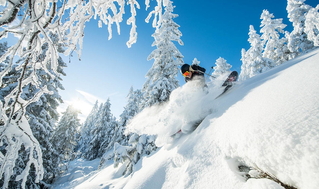 NOE FOR ALLE: På en god dag er det fantastiske muligheter, også utenfor løypene i Varingskollen. Foto: Vegard Breie NOE FOR ALLE: På en god dag er det fantastiske muligheter, også utenfor løypene i Varingskollen. Foto: Vegard Breie