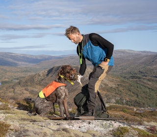 JAKTKOMPISER: Ole Christian og Pablo samarbeider godt på jakt. Hundeeieren setter spesielt pris på ærligheten til fuglehunden, og at den er lettdressert og allsidig. Foto: Christer Rognerud JAKTKOMPISER: Ole Christian og Pablo samarbeider godt på jakt. Hundeeieren setter spesielt pris på ærligheten til fuglehunden, og at den er lettdressert og allsidig. Foto: Christer Rognerud
