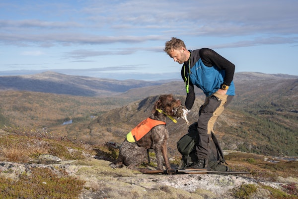 JAKTKOMPISER: Ole Christian og Pablo samarbeider godt på jakt. Hundeeieren setter spesielt pris på ærligheten til fuglehunden, og at den er lettdressert og allsidig. Foto: Christer Rognerud JAKTKOMPISER: Ole Christian og Pablo samarbeider godt på jakt. Hundeeieren setter spesielt pris på ærligheten til fuglehunden, og at den er lettdressert og allsidig. Foto: Christer Rognerud