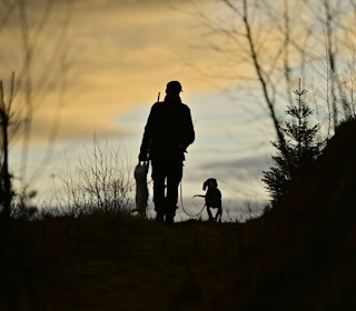 PRIVILEGERT: Bortsett fra i noen ytterst få private teiger, er det ikke tilgang på jakt med løs hund i de langt fleste vossaterrengene. Foto: Atle Skjelde PRIVILEGERT: Bortsett fra i noen ytterst få private teiger, er det ikke tilgang på jakt med løs hund i de langt fleste vossaterrengene. Foto: Atle Skjelde