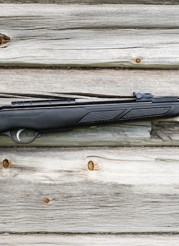 HAVNER IKKE I SKYGGEN: Med riktige kuler leverer Gamo Shadow IGT presisjon. Foto: Jo Stenersen Gamo Shadow IGT luftrifle