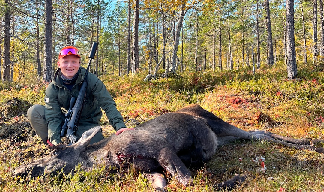 JAKTLYKKE: Med første elgfall på første forsøk blir det vanskelig å ikke jakte mer elg. Dette var en helt rå opplevelse. JAKTLYKKE: Med første elgfall på første forsøk blir det vanskelig å ikke jakte mer elg. Dette var en helt rå opplevelse.