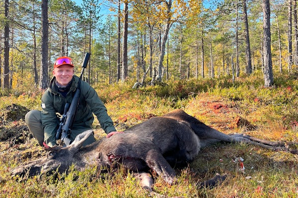 JAKTLYKKE: Med første elgfall på første forsøk blir det vanskelig å ikke jakte mer elg. Dette var en helt rå opplevelse. JAKTLYKKE: Med første elgfall på første forsøk blir det vanskelig å ikke jakte mer elg. Dette var en helt rå opplevelse.