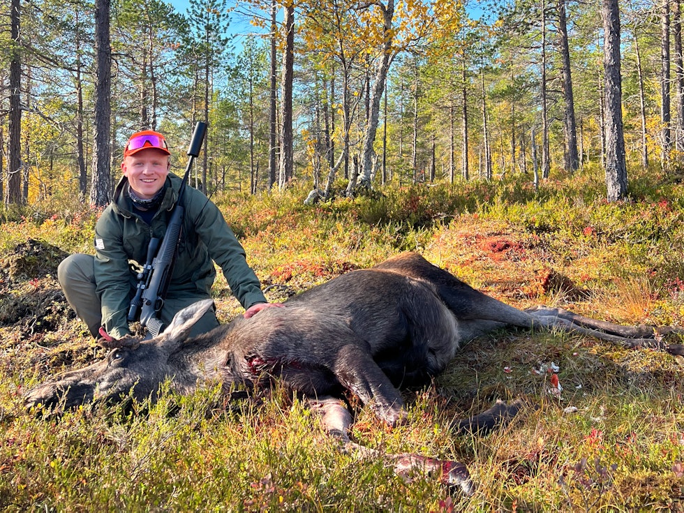 Elgjakt Eventyrlig F rstegangsjakt JEGER NO elgjakt-eventyrlig-f-rstegangsjakt-jeger-no