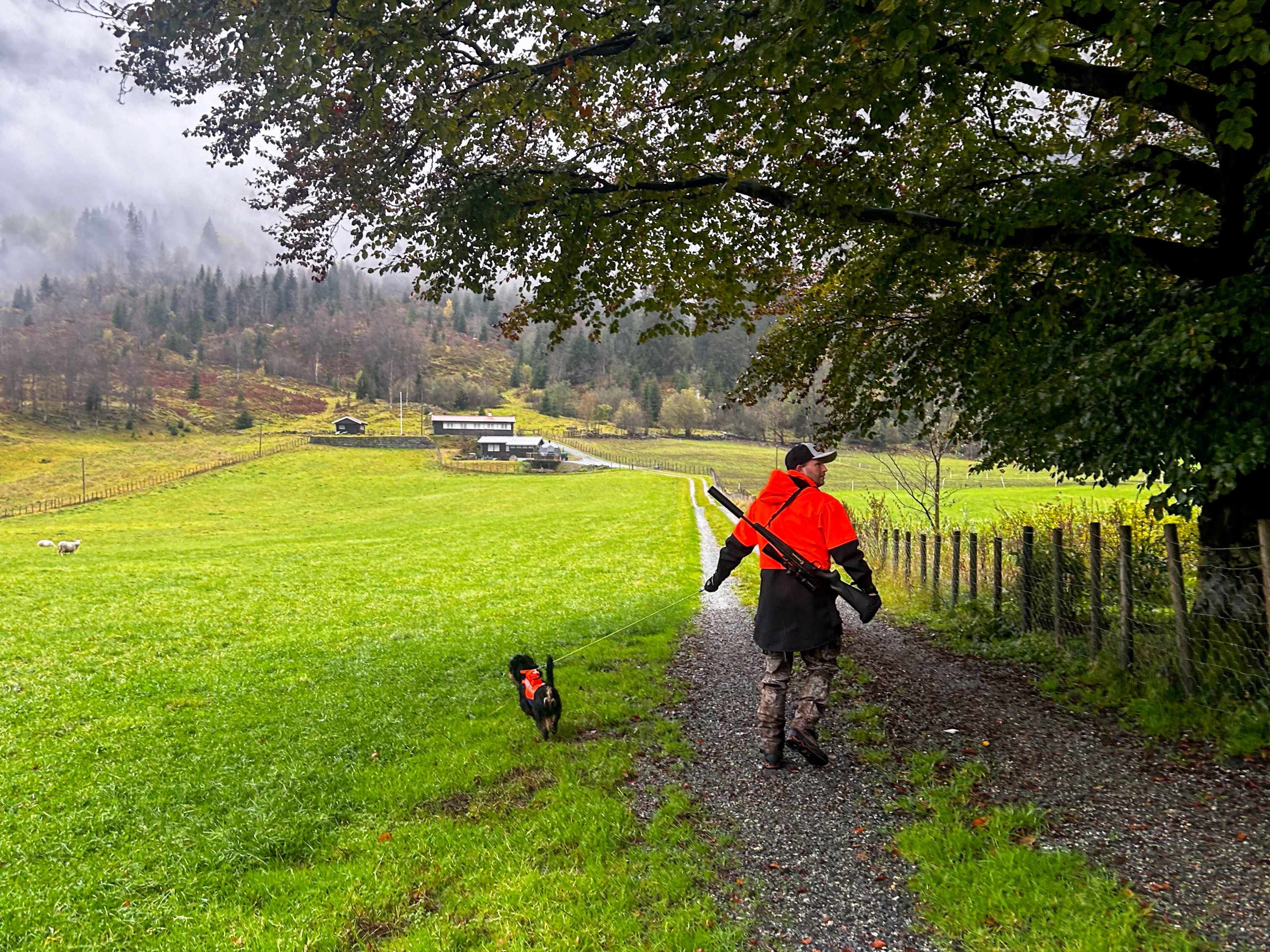 Brede Seim og Brutus på vei til jakt