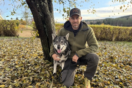 PRØVEVINNER: Når JEGER snakker med vinneren onsdag er både hund og fører på vei nordover til Østerdalen på nettopp - elgjakt. Foto: Privat Thomas Kragtorp med hunden jämthunden Mikke