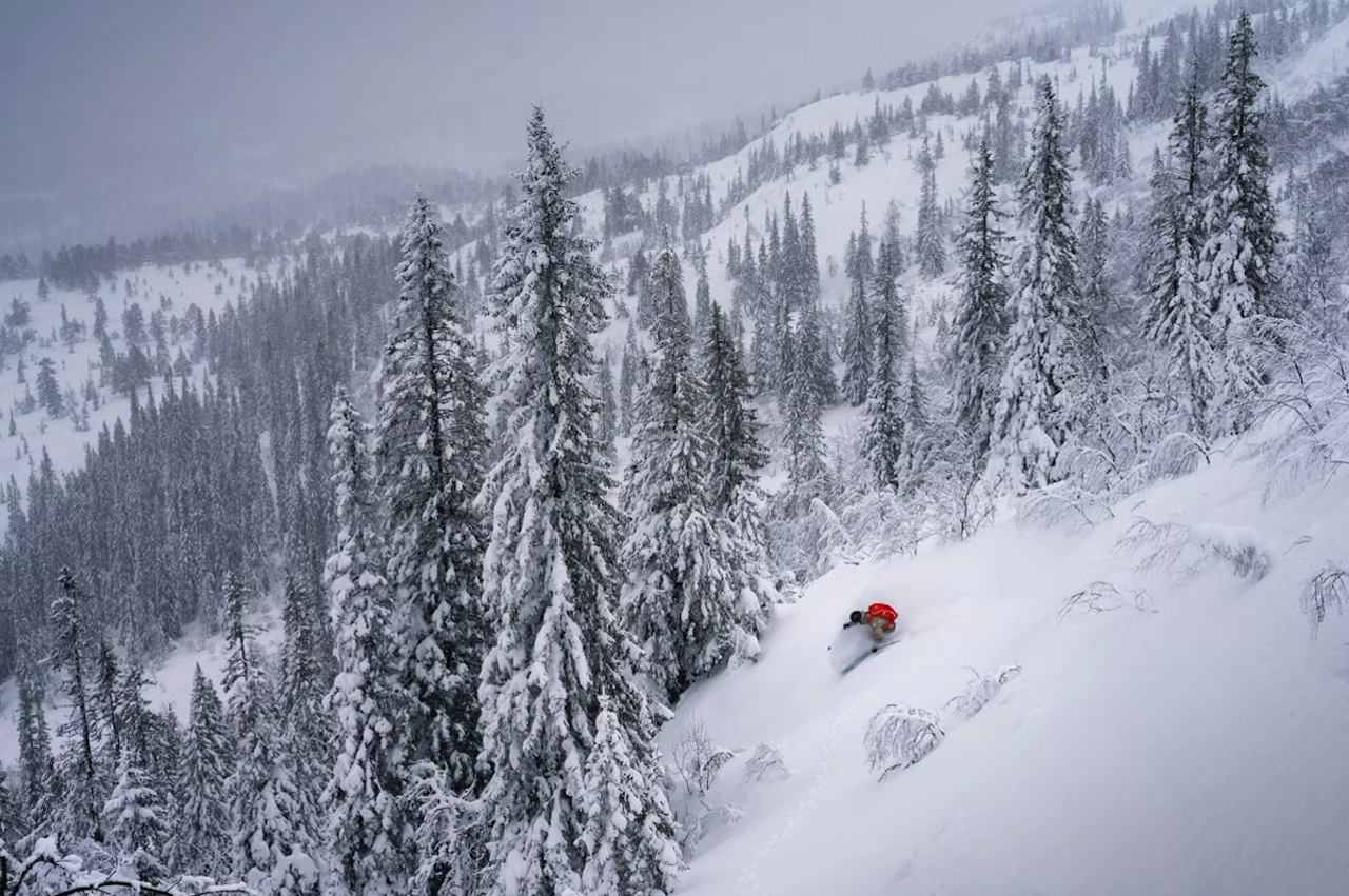 TRØNDERS FREERIDE: Vassfjellet rydder en ny off-piste løype på 200 høydemeter før FWT-kvalik i mars. Foto: Kyrre Buxrud En skikjører i puddersnø i Vassfjellet