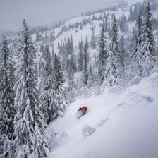 TRØNDERS FREERIDE: Vassfjellet rydder en ny off-piste løype på 200 høydemeter før FWT-kvalik i mars. Foto: Kyrre Buxrud En skikjører i puddersnø i Vassfjellet