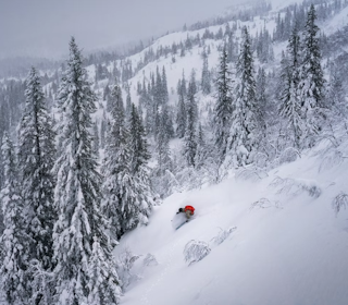 TRØNDERS FREERIDE: Vassfjellet rydder en ny off-piste løype på 200 høydemeter før FWT-kvalik i mars. Foto: Kyrre Buxrud En skikjører i puddersnø i Vassfjellet