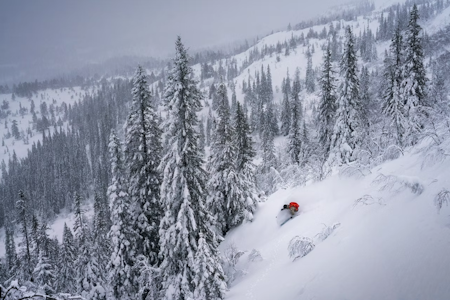 TRØNDERS FREERIDE: Vassfjellet rydder en ny off-piste løype på 200 høydemeter før FWT-kvalik i mars. Foto: Kyrre Buxrud En skikjører i puddersnø i Vassfjellet