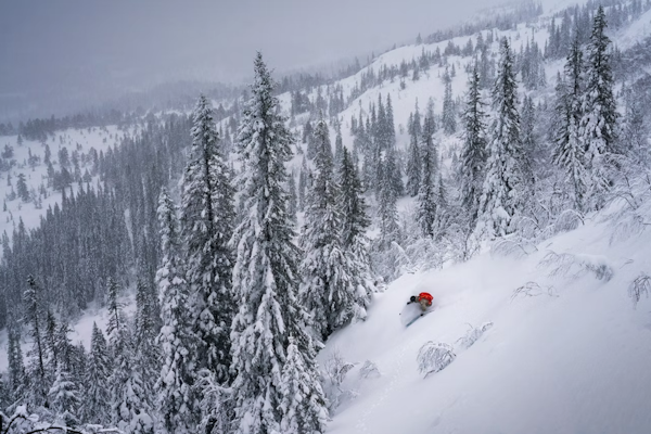 TRØNDERS FREERIDE: Vassfjellet rydder en ny off-piste løype på 200 høydemeter før FWT-kvalik i mars. Foto: Kyrre Buxrud En skikjører i puddersnø i Vassfjellet