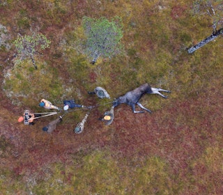 HJELPEMIDDEL: Droner er forbudt under jakt, men bør det tillates bruk av droner til ettersøk av skadeskutt vilt? Illustrasjonsfoto: JEGER-redaksjonen HJELPEMIDDEL: Droner er forbudt under jakt, men bør det tillates bruk av droner til ettersøk av skadeskutt vilt? Illustrasjonsfoto: JEGER-redaksjonen