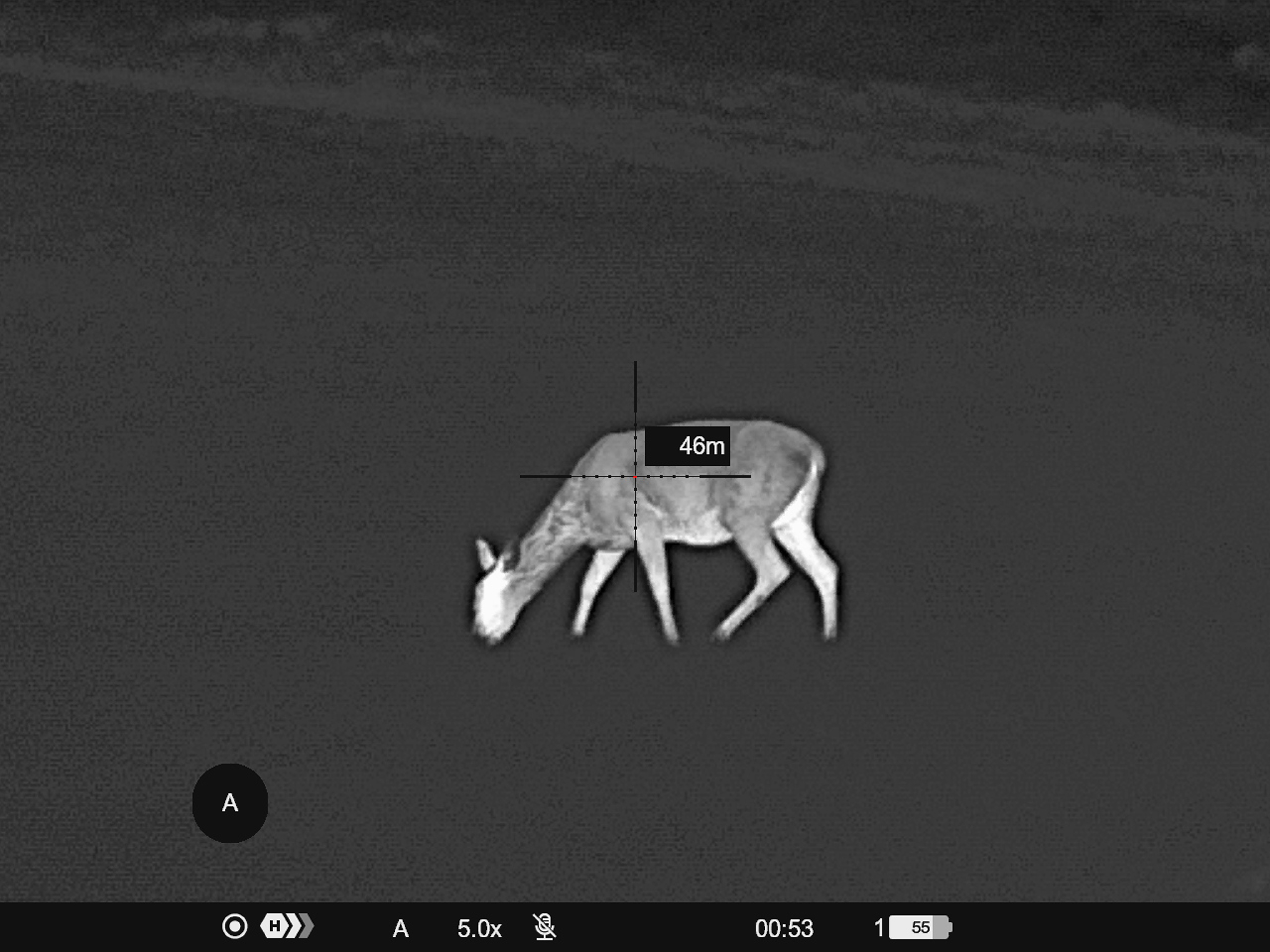 Termisk foto med 1024-sensor