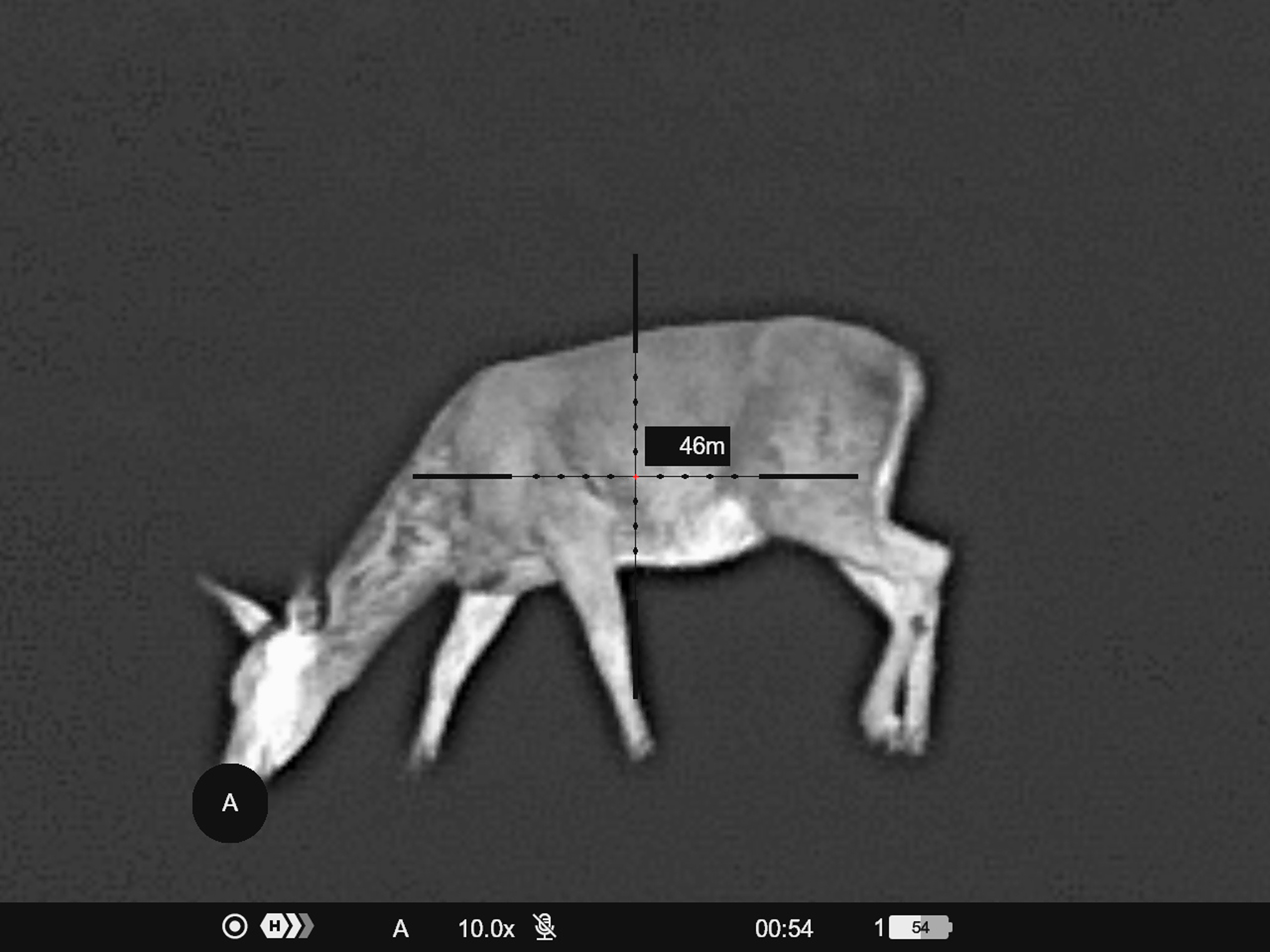 Termisk foto med 1024-sensor