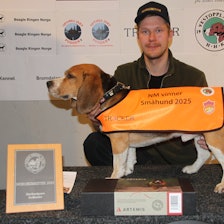 NM SMÅHUND: Tomas Welve og beaglen Børre på toppen av pallen etter en imponerende NM-helg. Første forsøk – og gull! Foto: Rune Hedegart / Harehunden Tomas Welve og beaglen Børre