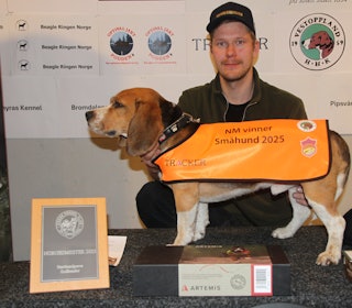 NM SMÅHUND: Tomas Welve og beaglen Børre på toppen av pallen etter en imponerende NM-helg. Første forsøk – og gull! Foto: Rune Hedegart / Harehunden Tomas Welve og beaglen Børre