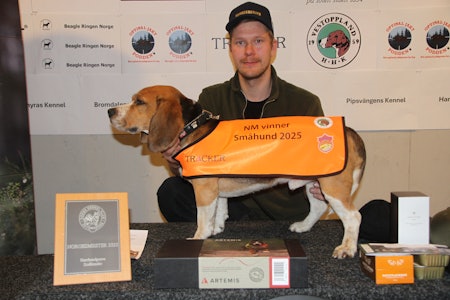 NM SMÅHUND: Tomas Welve og beaglen Børre på toppen av pallen etter en imponerende NM-helg. Første forsøk – og gull! Foto: Rune Hedegart / Harehunden Tomas Welve og beaglen Børre
