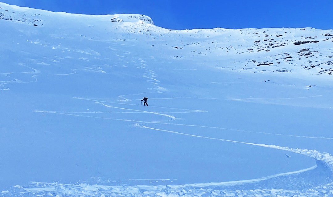 SPORENE FORTELLER: Mange spor vitner om en fin skidag på Steindalsnosi torsdag. Foto: Edvin Jevnheim Bakkom skispor i snødekt fjell