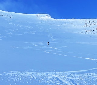 SPORENE FORTELLER: Mange spor vitner om en fin skidag på Steindalsnosi torsdag. Foto: Edvin Jevnheim Bakkom skispor i snødekt fjell