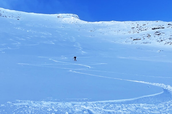 SPORENE FORTELLER: Mange spor vitner om en fin skidag på Steindalsnosi torsdag. Foto: Edvin Jevnheim Bakkom skispor i snødekt fjell