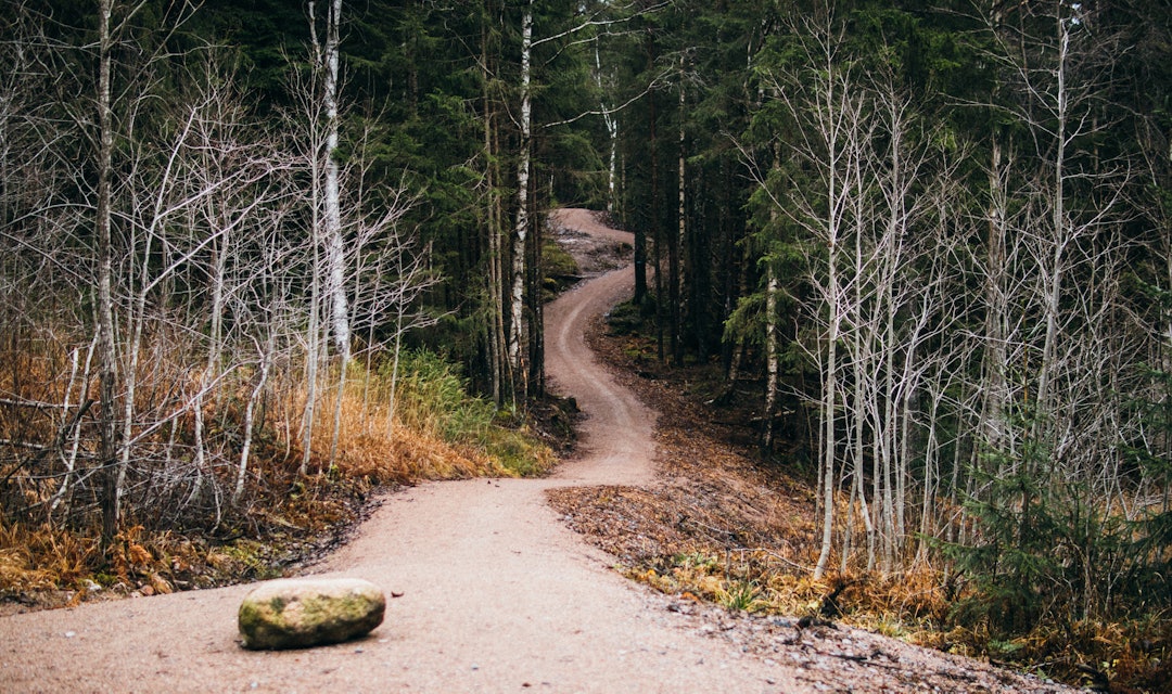 STAIRWAY TO HEAVEN?: Ved inngangen stiger det, før du kan sette avgårde utfor. Foto: Knut Andreas Lone STAIRWAY TO HEAVEN?: Ved inngangen stiger det, før du kan sette avgårde utfor. Foto: Knut Andreas Lone