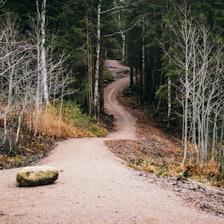 STAIRWAY TO HEAVEN?: Ved inngangen stiger det, før du kan sette avgårde utfor. Foto: Knut Andreas Lone STAIRWAY TO HEAVEN?: Ved inngangen stiger det, før du kan sette avgårde utfor. Foto: Knut Andreas Lone