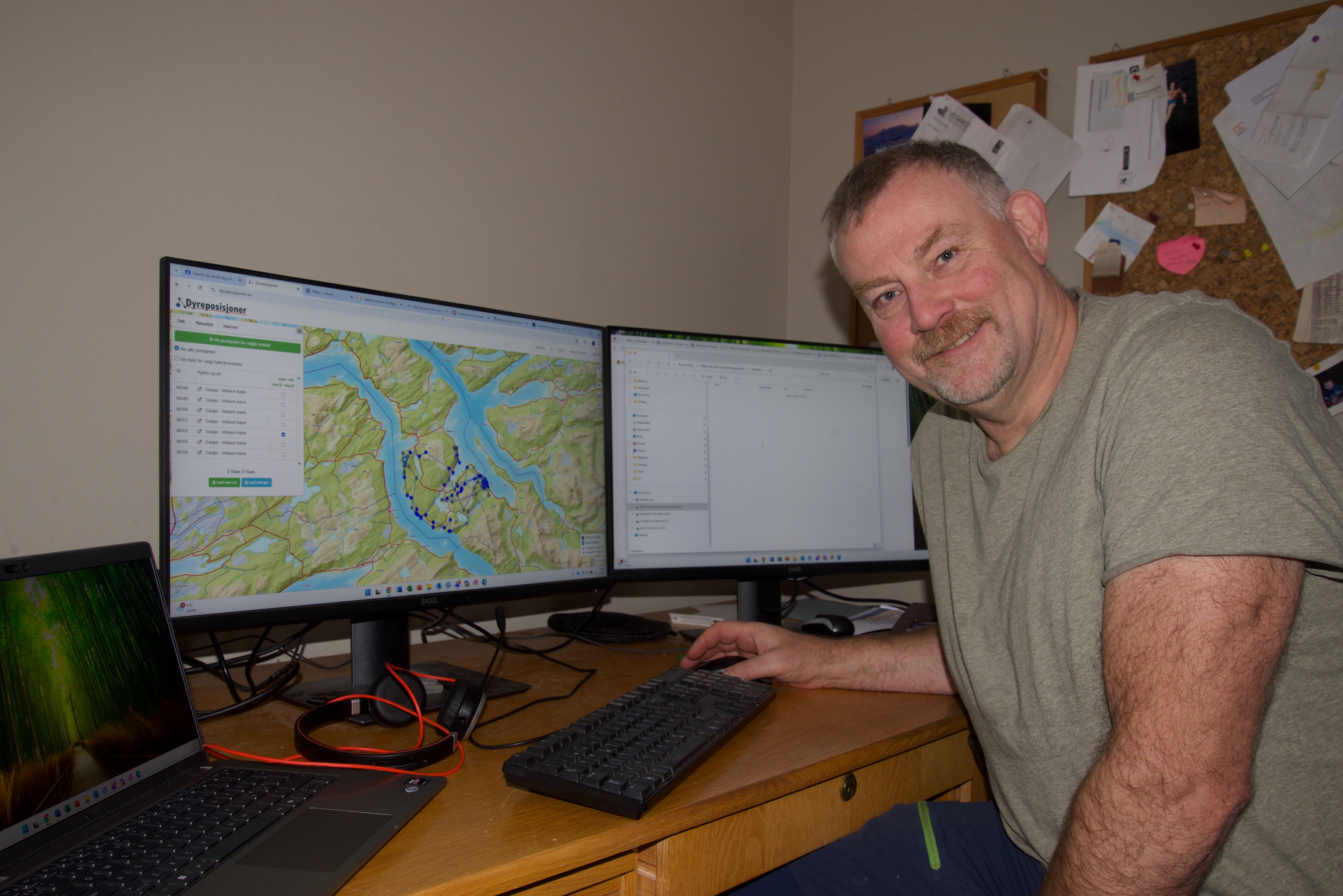 Erling L. Meisingset