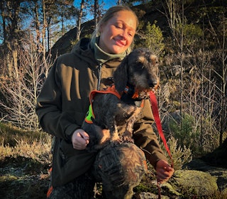 VINNER: Hedda Lita Svennebye og strihårsdachsen Liakleiva’s Cinderella (Vilja) i terrenget ved Søgne, der duoen leverte et historisk NM-drev. Foto: Atle Rønning Hedda Lita Svennebye og strihårsdachsen. Duoen leverte et historisk NM-drev i 2025. Foto: Atle Rønning