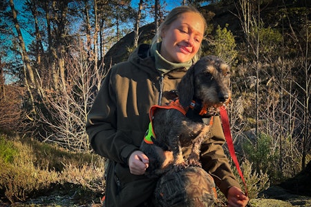 VINNER: Hedda Lita Svennebye og strihårsdachsen Liakleiva’s Cinderella (Vilja) i terrenget ved Søgne, der duoen leverte et historisk NM-drev. Foto: Atle Rønning Hedda Lita Svennebye og strihårsdachsen. Duoen leverte et historisk NM-drev i 2025. Foto: Atle Rønning