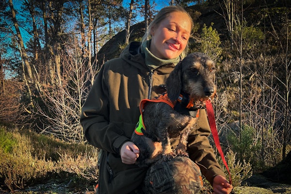 VINNER: Hedda Lita Svennebye og strihårsdachsen Liakleiva’s Cinderella (Vilja) i terrenget ved Søgne, der duoen leverte et historisk NM-drev. Foto: Atle Rønning Hedda Lita Svennebye og strihårsdachsen. Duoen leverte et historisk NM-drev i 2025. Foto: Atle Rønning